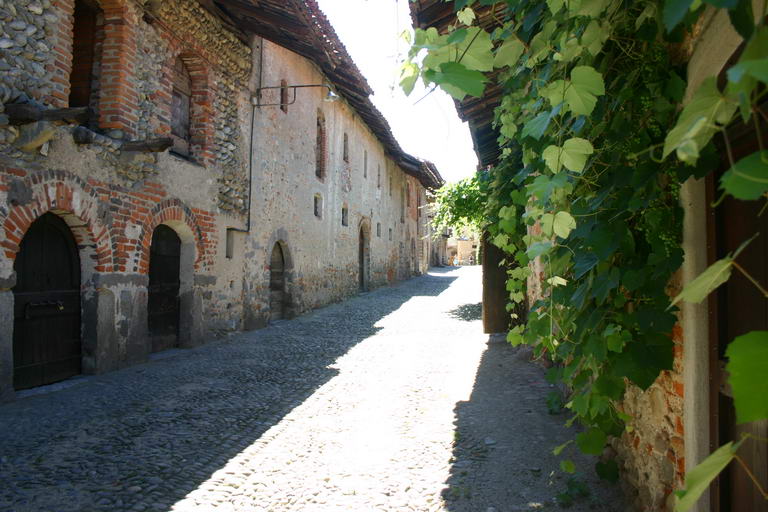 IMG 3475
